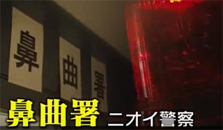 2016年5月30日オンエアー　テレビ東京 「なないろ日和」