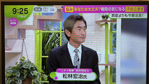 フジテレビ 「ノンストップ！」