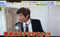 テレビ東京／BSテレ東「なないろ日和！」